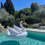 Pisolo