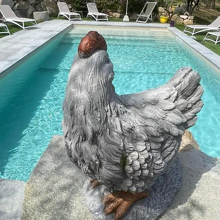 Pisolo *
